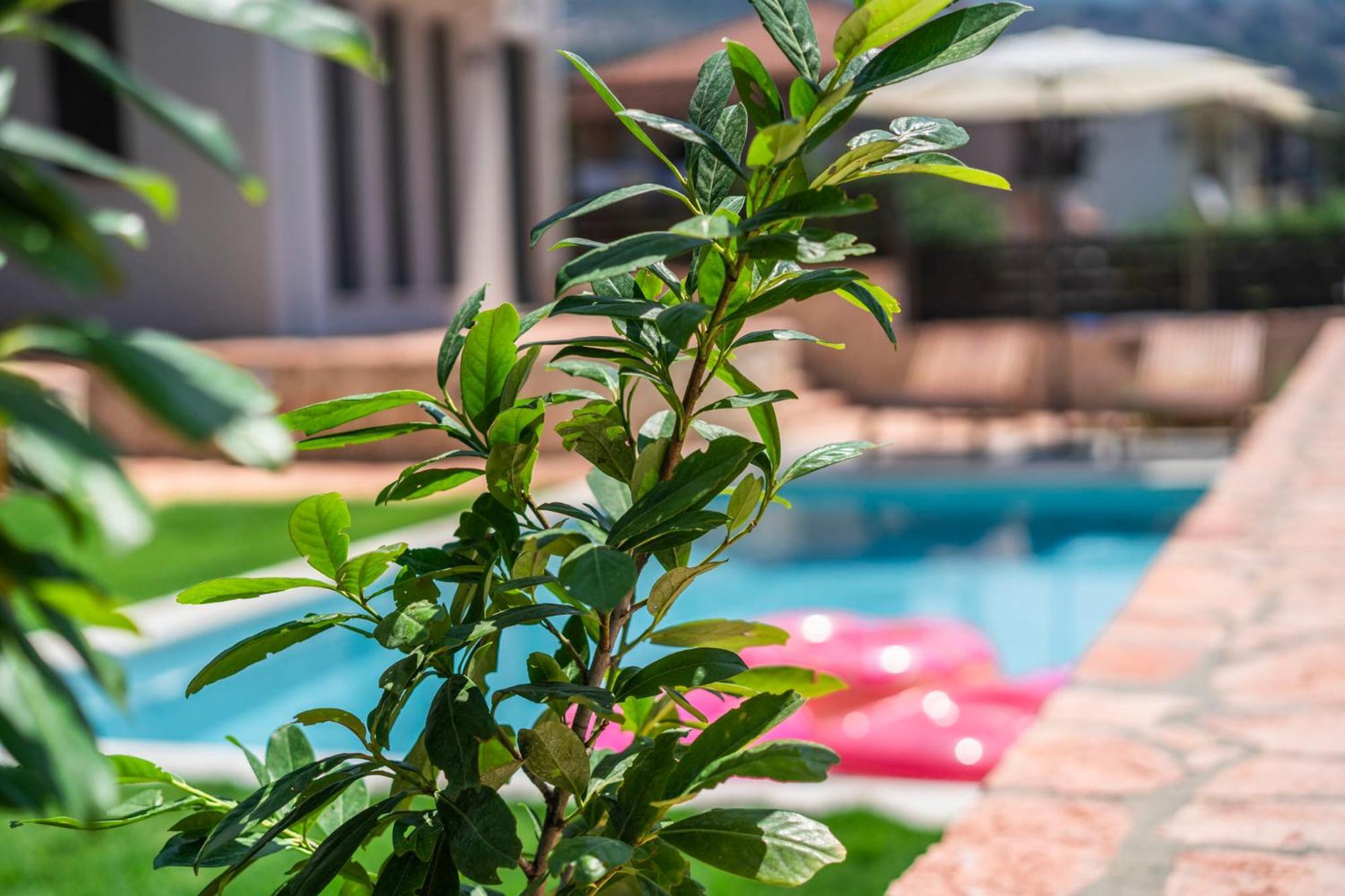 Marival Luxury Living - Adults Only Apartment Sívota Екстериор снимка